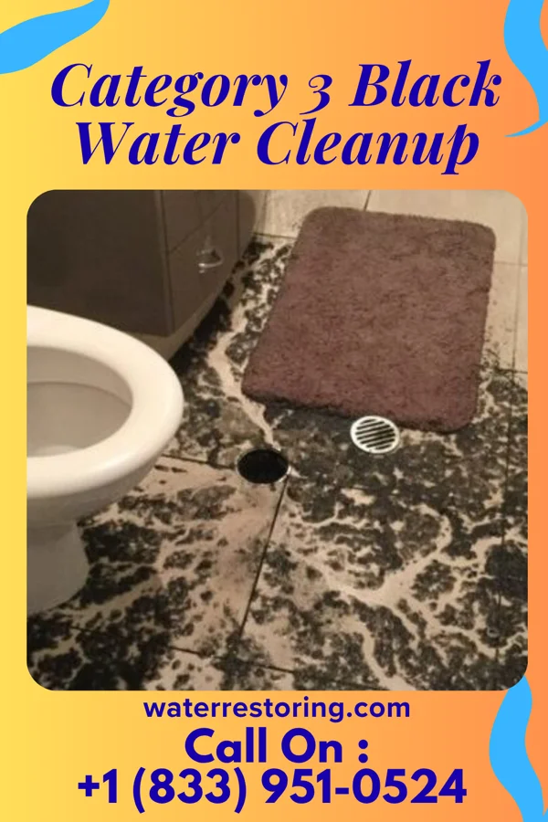 Category 3 Black Water Cleanup in Allentown, FL
