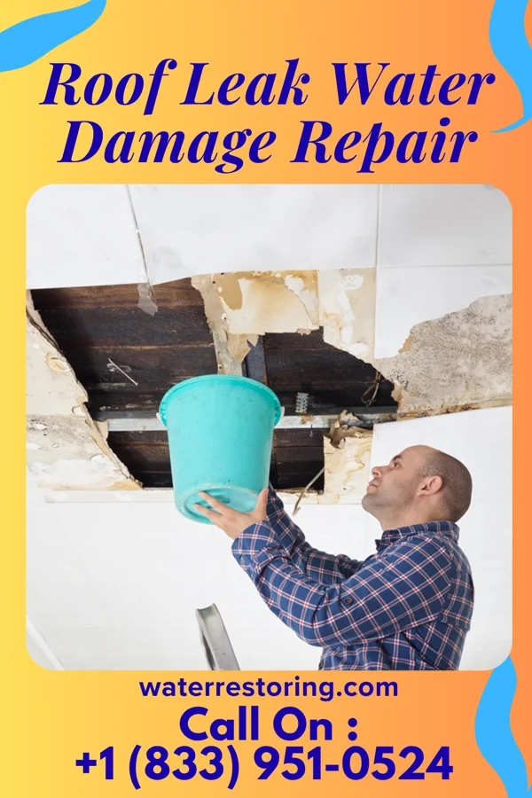 Roof Leak Water Damage Repair in Allentown, FL